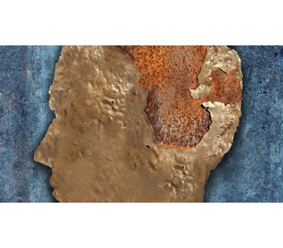 Brain Function Decline